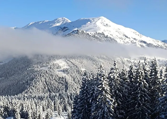 Silonce Gruppe Ehem Freiheit Stilvoll Im Kreis Olpe Hsk Parkplatz & Qualitaet Bilstein